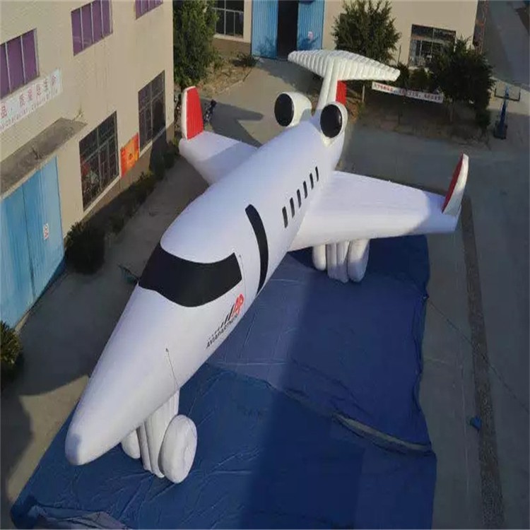 阳江镇充气模型飞机